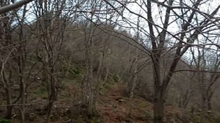 فردوسی،شکسپیر،سیاه گالش - شهروز مرکباتی لنگرودی