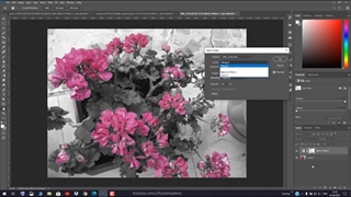 آموزش فتوشاپ: سیاه و سفید کردن با حفظ یک رنگ خاص