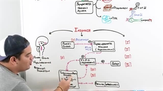 Anxiolytic & Hypnotic Drugs