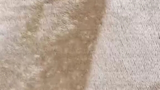 نگاه کن چقدر قشنگ روی زمین آکای شویچی و فورویا ری رو کشید