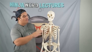 ninja nerd کلیات آناتومی قسمت اول