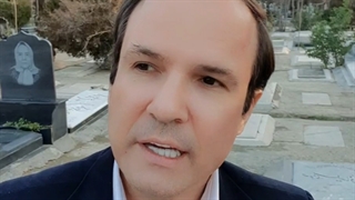 گوساله خودشو زده به خواب