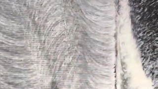 شستشوی صندلی ماشین