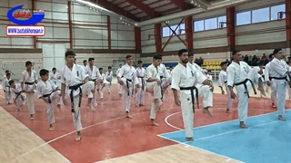 برگزاری سمینار فنی و استاژ عملی مربیگری کیوکوشین در خراسان جنوبی