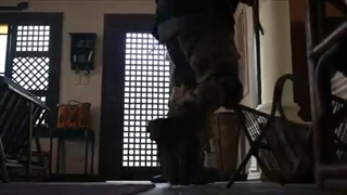 فیلم عروسی هول هولکی زیرنویس فارسی Shotgun Wedding 2023