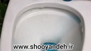 شستشوی سرویس بهداشتی