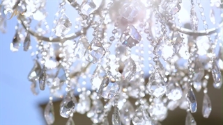 باغ تالار میرزایی