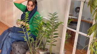 جاروکشی و تی کشی منزل و محل کارتون رو به سگوبو بسپارید