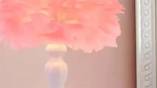 گالری راهنورد