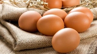 از تخم مرغ تا گوشت مرغ با فناوری مدرن