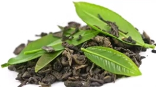 دستگاه خشک کن چای،خشک کن چای سبز،خشک کن