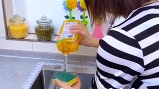 جای مایع ظرفشویی