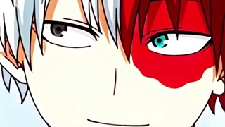 تودوروکی شوتو