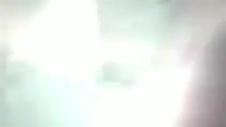 میکس خوفناک خفن از سگ های ولگرد بانگو