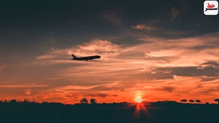 14011223: سرخط - کارشناس مصری آبروی مقام صهیونیستی را درپخش زنده برد