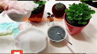 آموزش زمان کاشت سریع سبزه نارنج عید آب بذر شاهی تخم شربتی عدس شبدر ماش فوری تربچه راحت گندم خاک ریحان ساده ترین سریعترین