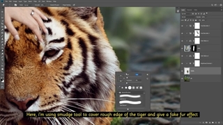Tiger Women Photoshop Manipulation Tutorial فتوشاپ