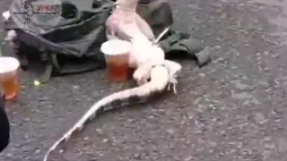 بدون عنوان(سم)