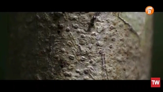 جهان ما ؛ 2022 ؛ فصل 1 ؛ قسمت 2