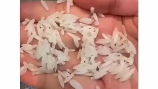 آبکش برنج فجر