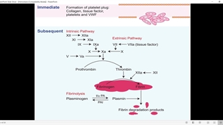 اطفال ۱ دکتر هجرتی  Hemostasis