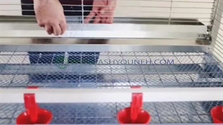 نو آوری جذاب در قفس جوجه