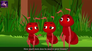 داستان پروانه