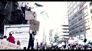 قمی های امریکایی