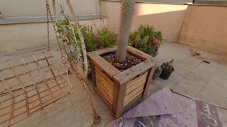 ولاگ کارهای روزانه-گلدان جدید برای نخل قدیمی