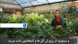 قسمت دوم تکثیر