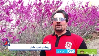 دره ارغوان طرقبه دیدنی های مشهد نرم افزار گردشگری سایروس توریست مهندس تیرانداز