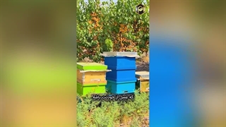 هدفت چیه؟؟؟