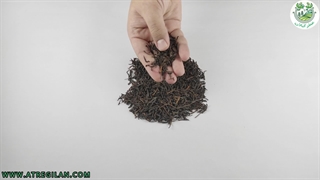 بررسی چای قلم سوزنی