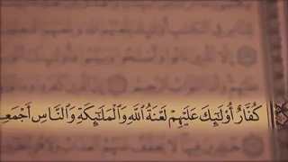 ترتیل جزء 2 مشاری العفاسی با نمایش آیه و ترجمه گویای فارسی همراه با تصاویر طبیعت