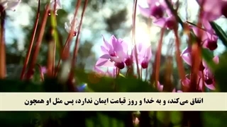 ترتیل جزء 3 مشاری العفاسی با نمایش آیه و ترجمه گویای فارسی همراه با تصاویر طبیعت