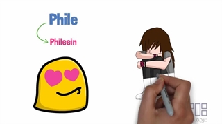 Phile های (فیل) عجیب که تا به حال آنها را نشنیده‌اید!