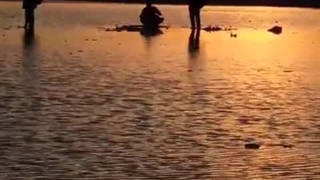 به چیزی پی بردم...