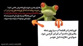 14020129: لطفا قورباغه نباشید!