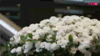 مراسمه ختمه مونبین،خوب بخوابی قشنگم...+کپ ...کیپاپرای عزیز بیاین بحرفیم...