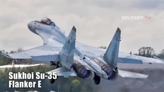 F-22 vs. Su 35