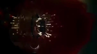 هیوااا مبارکههه