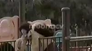 ولی این زیادی موده اوکی؟"