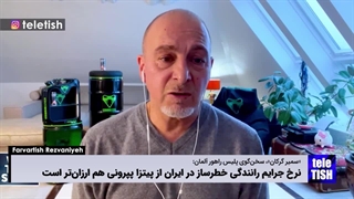 حمایت پلیس راهور آلمان از گران شدن جرایم رانندگی ایران