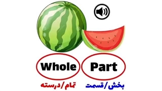 کلمات متضاد و کاربردی انگلیسی!