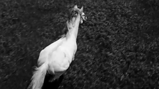 تیزر UNFORGIVEN از لسرافیم