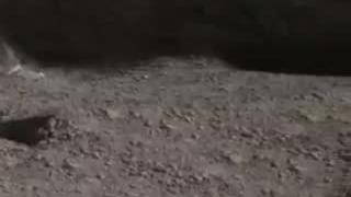 توی هر سیاره چقدر میشود پرید؟