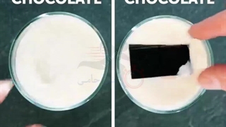 دانستنی های کاربردی و مفید در امور آشپزی و آشپزخانه با آنی حامی Ani Hami