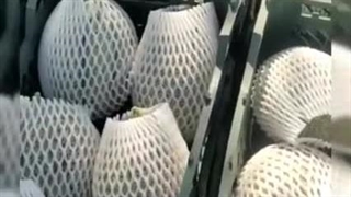 فوم توری میوه ، فوم شیشه عسل 09199762163