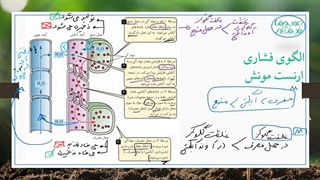 تدریس الگوی فشاری مونش