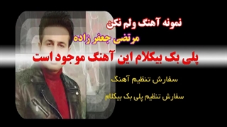 آهنگ ولم نکن از مرتضی جعفر زاده